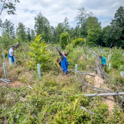 Weiter Blick auf die Arbeitsfläche mit winkenden Teilnehmenden