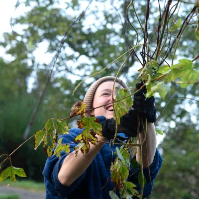 Lächelnde junge Frau, die einen Ast wegträgt