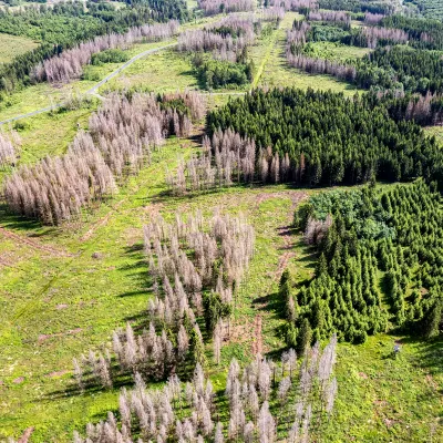Landschaft von oben in Braunlage