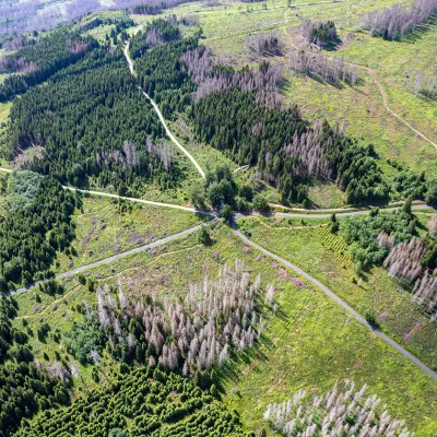 Landschaft von oben in Braunlage