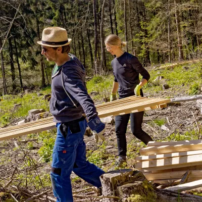 Abtransport eines Hordengatters