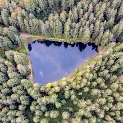 BWP_Nationalpark_Schwarzwald_3.jpg