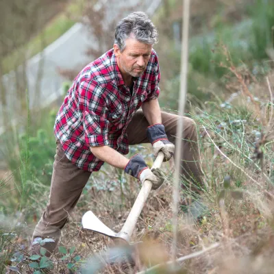 Teilnehmer bei der Pflanzung