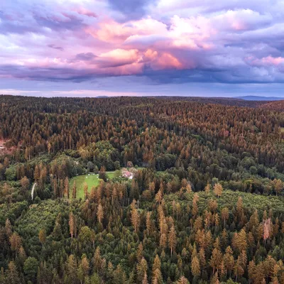 Weiter Blick auf eine abendliche Waldlandschaft