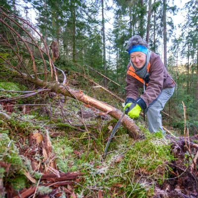 Frau bei der Waldpflege