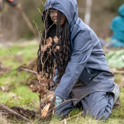 Junge Frau pflanzt ein Bäumchen