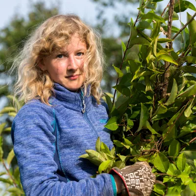 Junge Frau mit Grünschnitt im Arm
