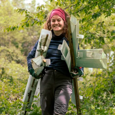 Junge Frau trägt Verbissschutz auf die Arbeitsfläche