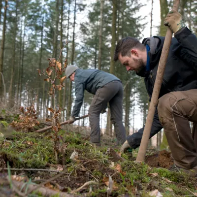 Teilnehmende bei der Pflanzung