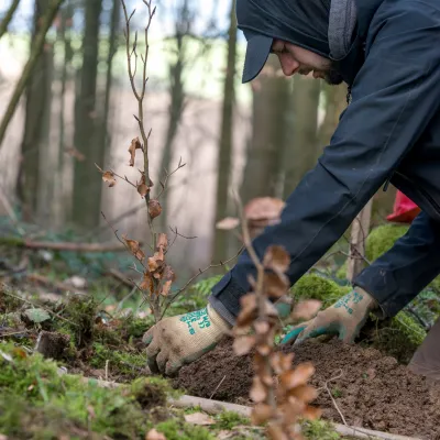 Teilnehmer bei der Pflanzung
