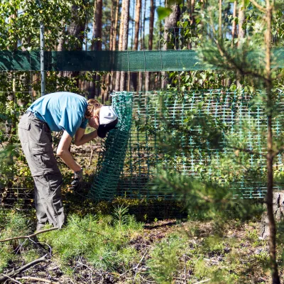 Teilnehmerin beim Zaunbau