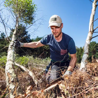 Teilnehmer bei der Baum-Entnahme