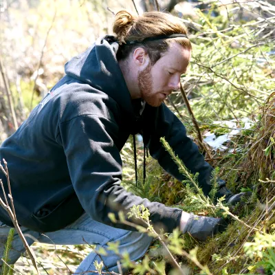 Teilnehmer bei der Pflanzung