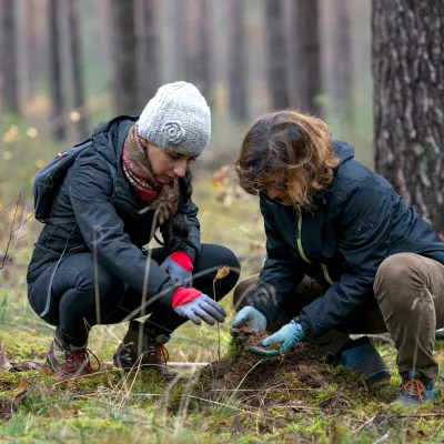 Zwei Teilnehmerinnen pflanzen ein Bäumchen