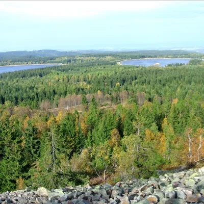 Weite Sicht über eine Waldlandschaft