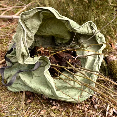 Jungbäume in einem Pflanzsack