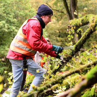 Teilnehmer bei der Waldpflege