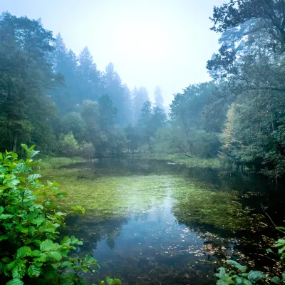 Stimmungsvolle Landschaft mit einem Teich