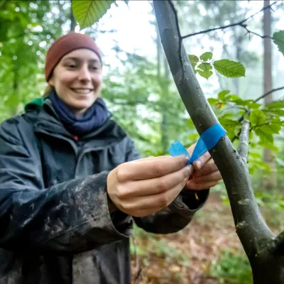 Lächelnde Frau die einen Baum mit blauem Band markiert