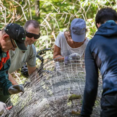 Gruppe rollt alten Zaun auf