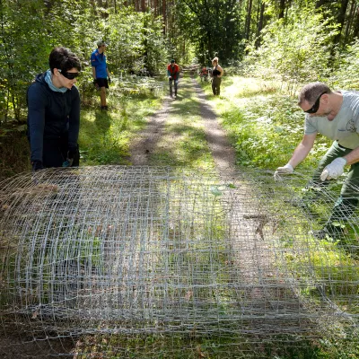 Aufgerollter Zaun wird auf Waldweg gerollt
