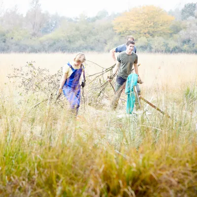 Gruppe trägt Gehölze von der Fläche