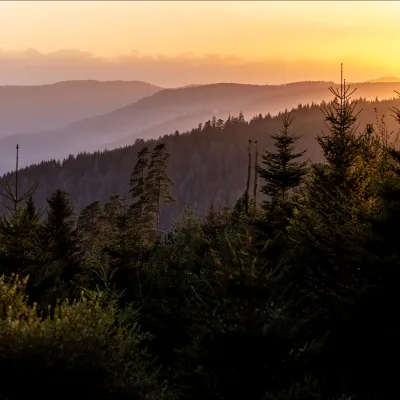 Sonnenaufgang über dem Schwarzwald