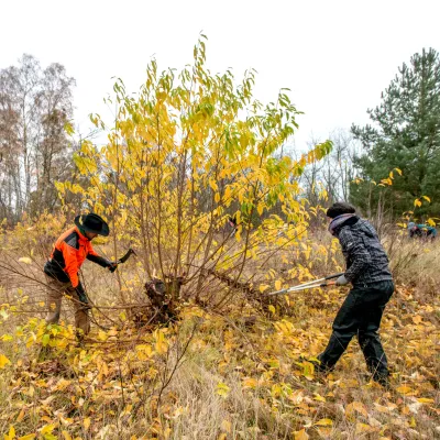 Teilnehmer im Einsatz