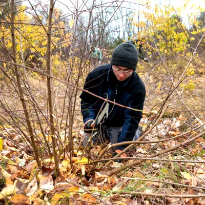 Teilnehmende im Einsatz
