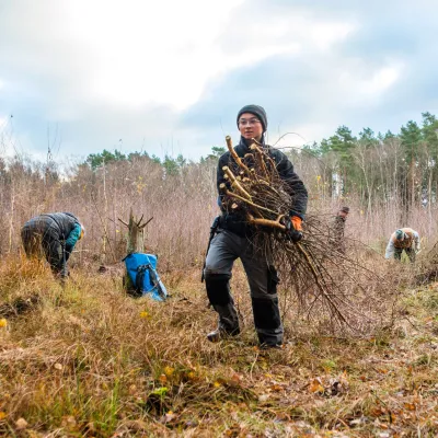 Teilnehmende beim Abtransport von Ästen