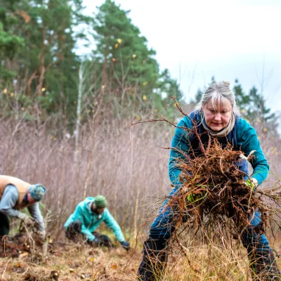 Teilnehmende bei der Arbeit