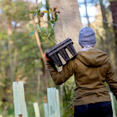 Frau von hinten  mit Jungpflanzen auf dem Arm