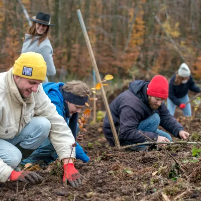 Teilnehmende beim Pflanzen