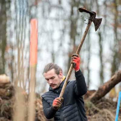 Teilnehmer mit Wiedehopfhaue beim Pflanzen