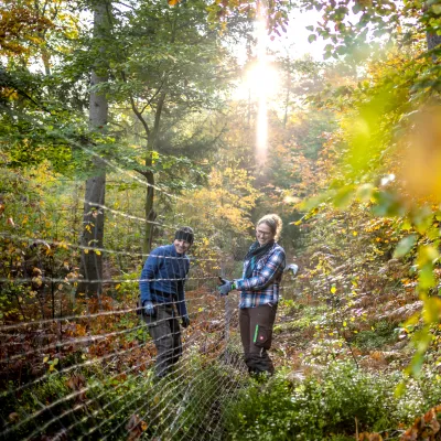 Teilnehmende beim Zaunabbau
