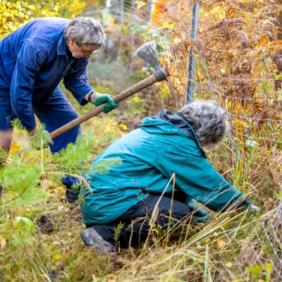 Zwei Teilnehmende beim Zaunabbau