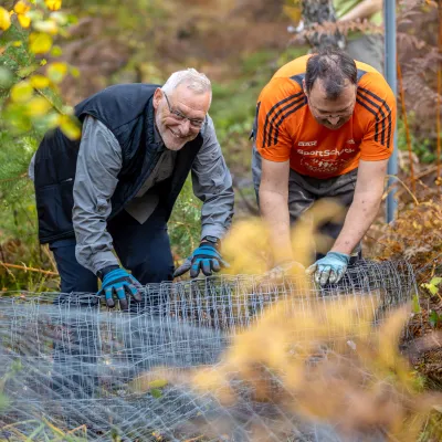 Zwei Teilnehmer rollen abgebauten Zaun auf