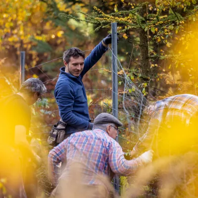 Teilnehmende beim Zaunabbau