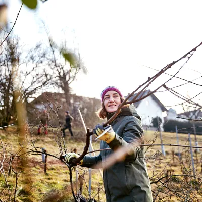 Teilnehmerin bei der Baumpflege