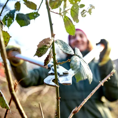 Teilnehmerin mit einer Astschere