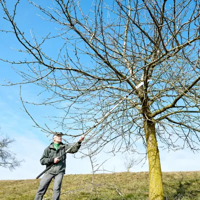 Teilnehmer mit einer Astsäge in Aktion