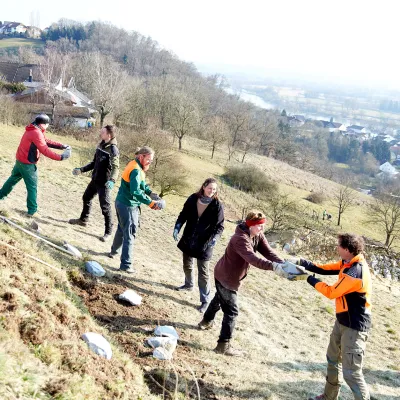 Steine werden mit einer Menschenkette weitertransportiert