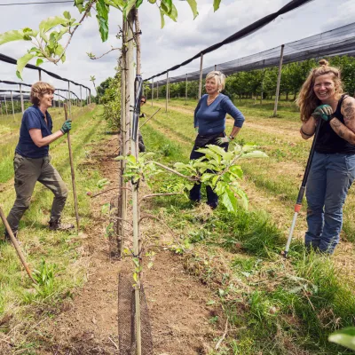Lachende Teilnehmende bei der Pflanzung