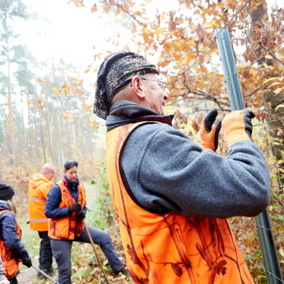 Teilnehmende beim Zaunabbau