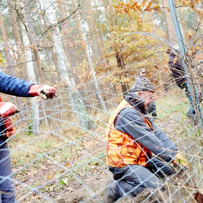 Teilnehmende beim Zaunabbau
