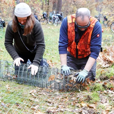 Teilnehmende rollen einen abgebauten Drahtzaun ein
