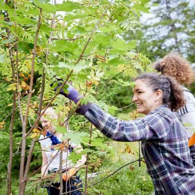Teilnehmende bei der Gehölzentnahme