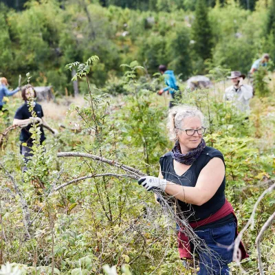 Teilnehmende bei der Gehölzentnahme