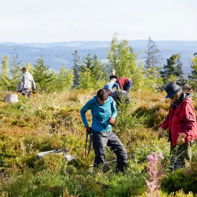 Teilnehmende verteilt auf der offenen Fläche
