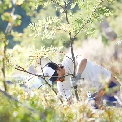 Teilnehmer bei der Gehölzentnahme